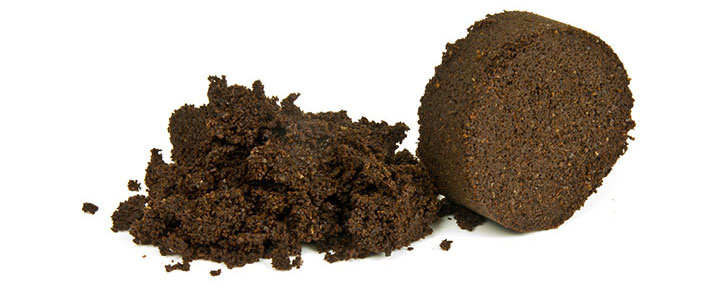 fondi_caffe2